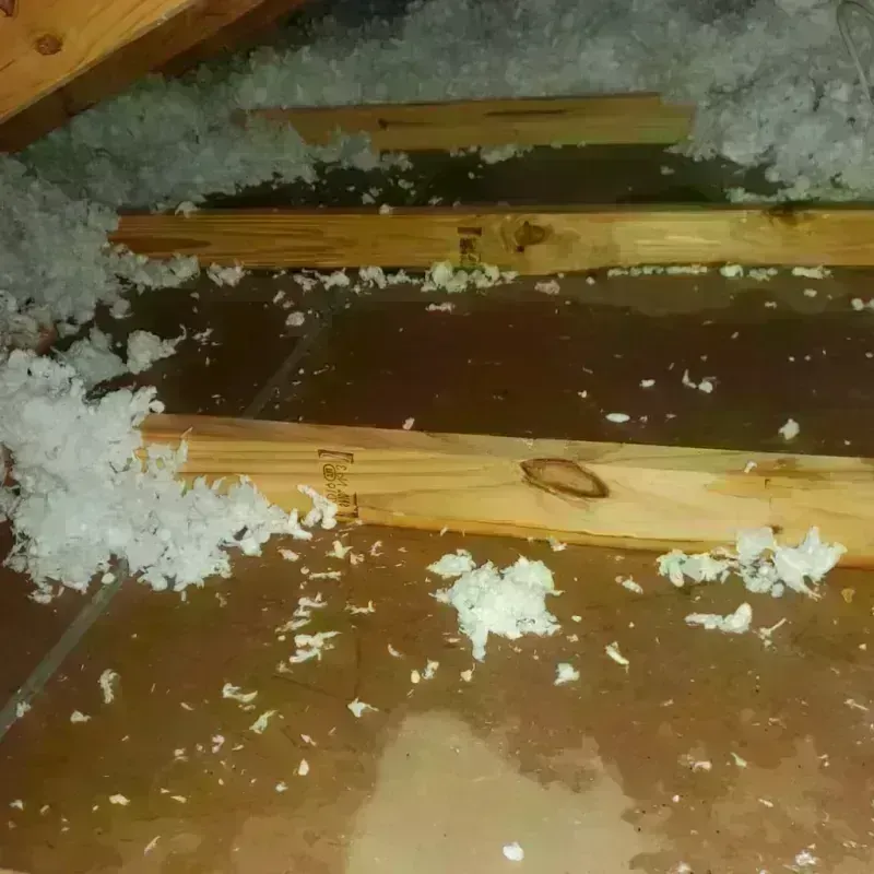 Attic Water Damage in Burton, OH