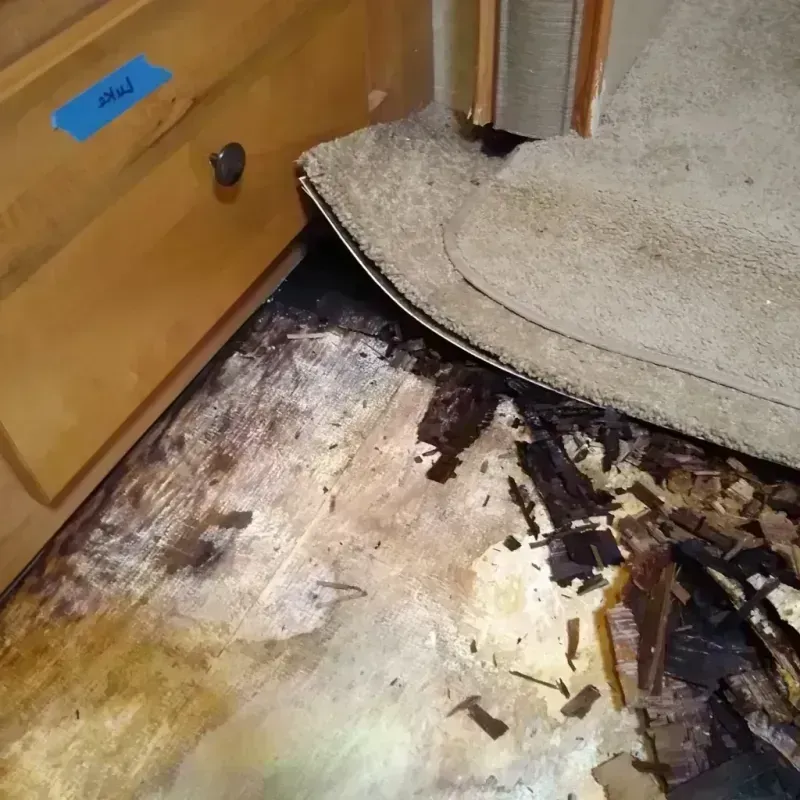 Wood Floor Water Damage in Burton, OH